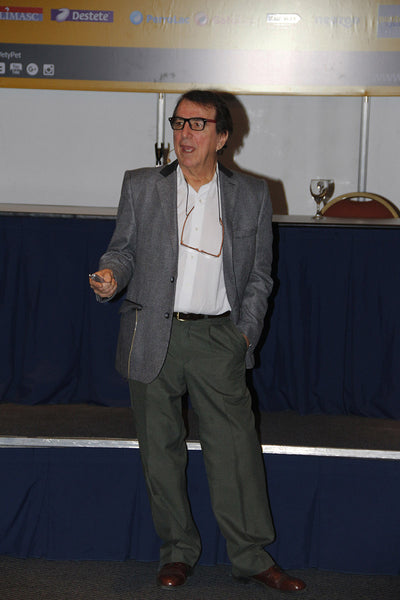 Gallery image 27
